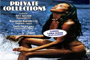 性 爱 欲 Collections privées 1979